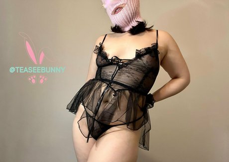 teaseebunny Nacktbilder von OnlyFans geleakt
