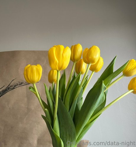 data night OnlyFans nackt