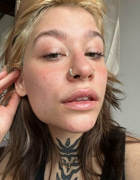 data night Profilbild