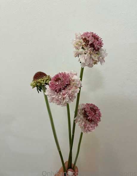 blushingblooms Nacktbilder von OnlyFans geleakt