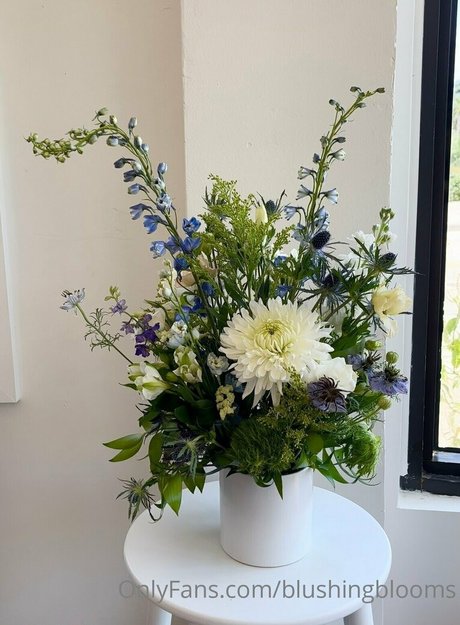 blushingblooms OnlyFans Pornografie