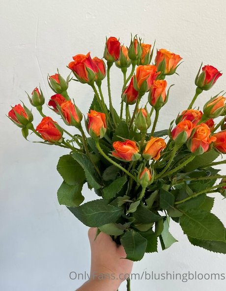 blushingblooms OnlyFans XXX