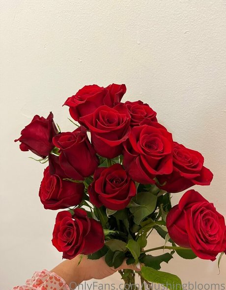 blushingblooms Nackt OnlyFans