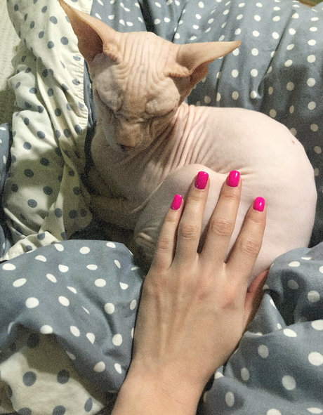 krisstile Nacktbilder auf OnlyFans