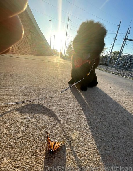 leahsade Leaked OnlyFans Sextape