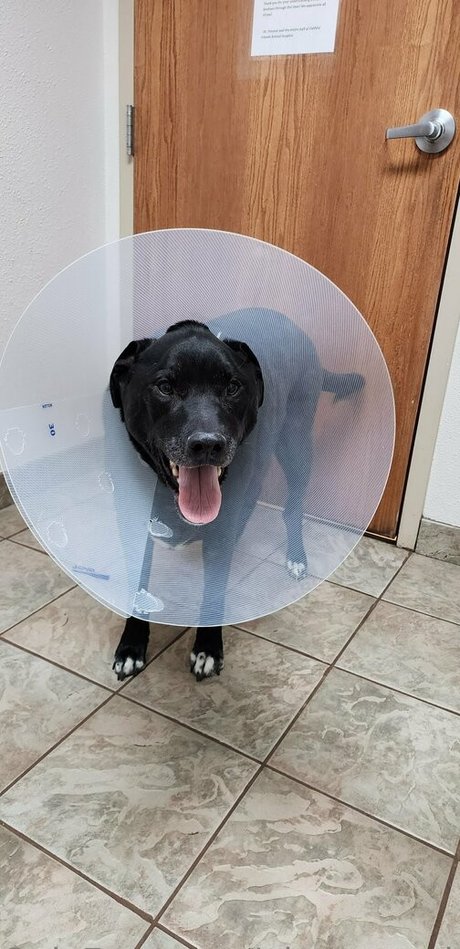 plants and piercings Nacktbilder von OnlyFans