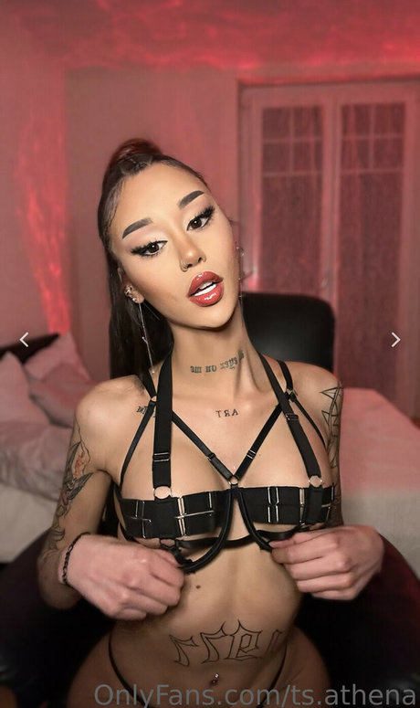 Arryadoll OnlyFans Nacktbilder