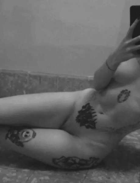 punk doberman Profilbild