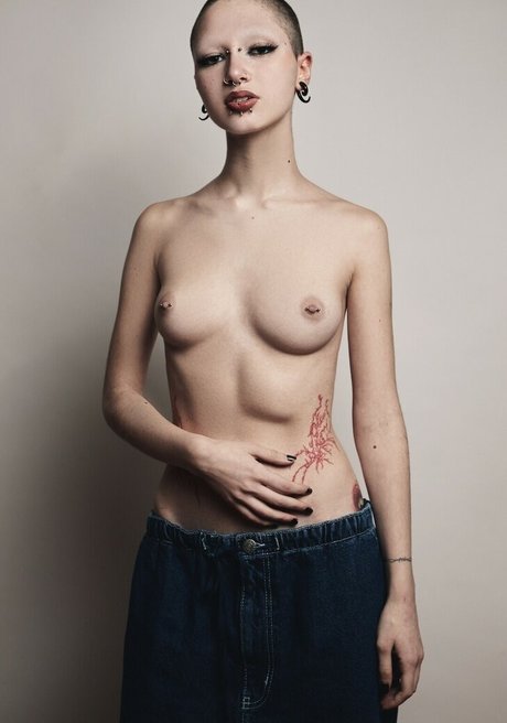 punk doberman Auf OnlyFans