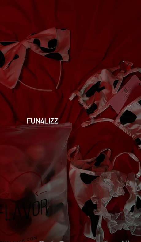 fun4lizz OnlyFans-Sex