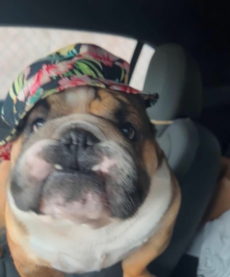 princessemilyyyy OnlyFans X