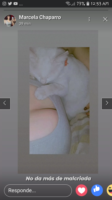 Marcela Chaparro_ Porn OnlyFans Leaks