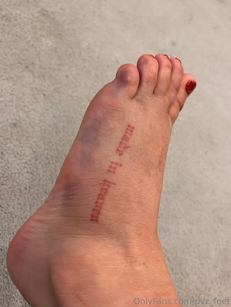 Pvz Feet OnlyFans Pornografie