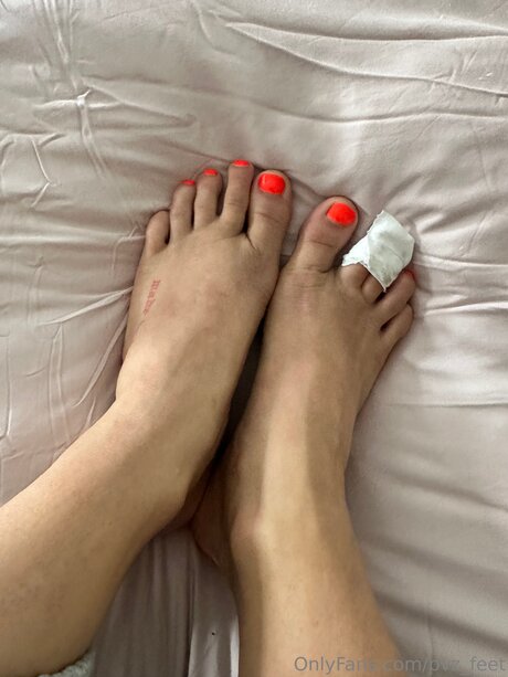 Pvz Feet OnlyFans XXX