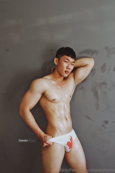 Shenkyisme OnlyFans Brüste Bild