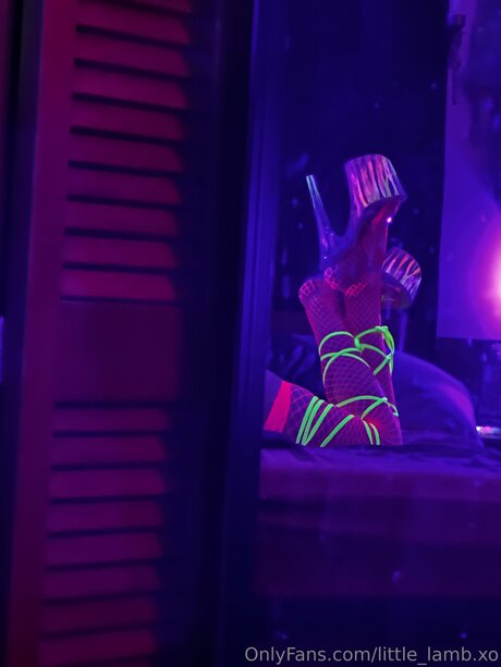Little Lamb Xo OnlyFans nackt