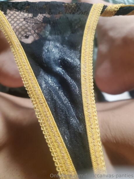 Foxiccanvas Pantyland Leaks OnlyFans