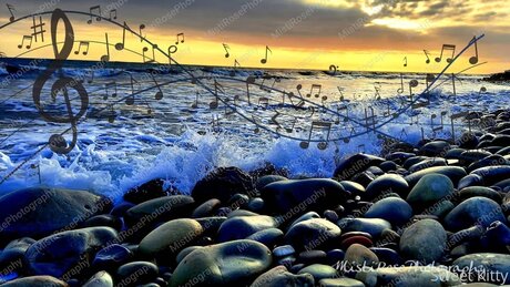 Sweetkitty777 Leak von OnlyFans