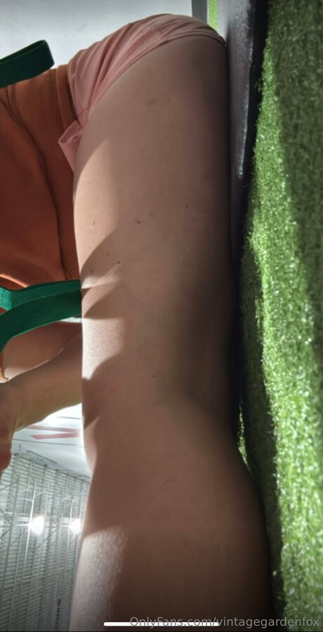 Vintagegardenfox OnlyFans Fotos