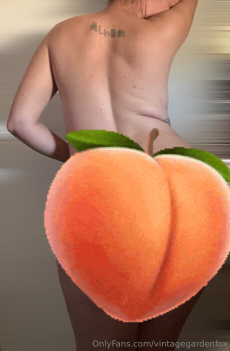 Vintagegardenfox Profilbild