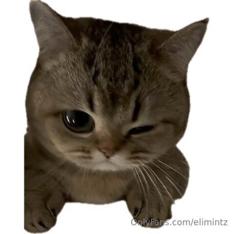 Elimintz OnlyFans-Creator