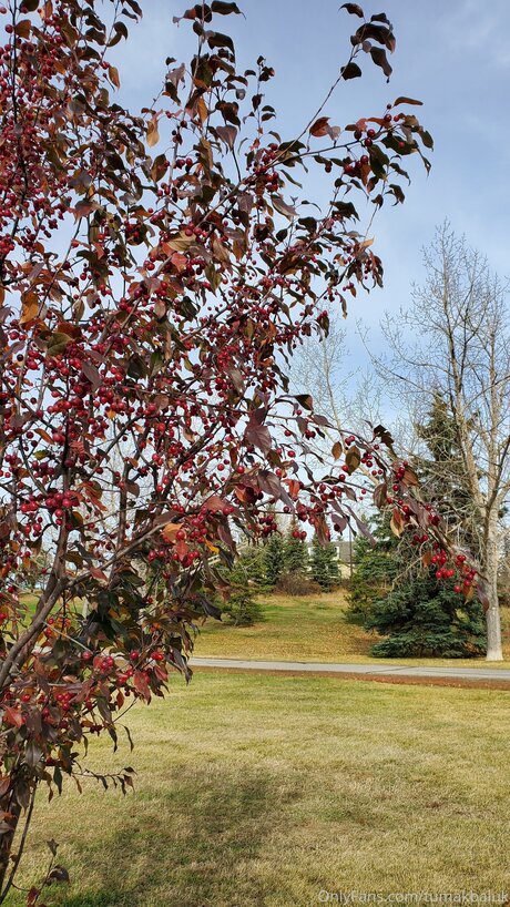 Tumakbaluk Nacktbilder von OnlyFans geleakt