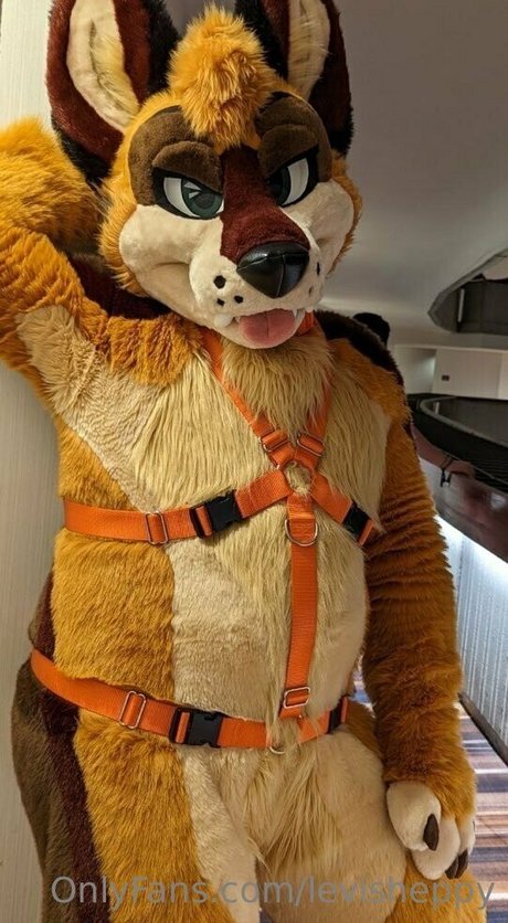 levisheppy Nackt OnlyFans