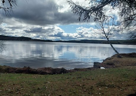 softchili OnlyFans Archiv