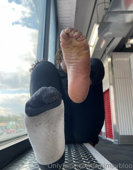 whimsybloo Nur für Fans