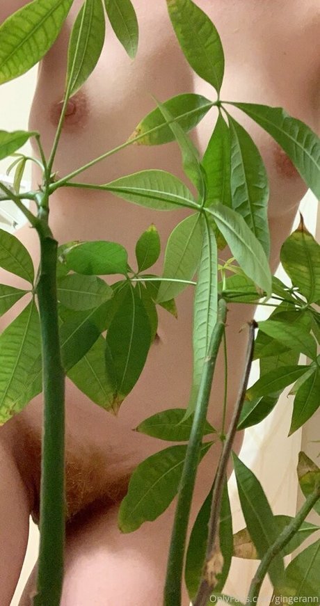 gingerann OnlyFans nackt