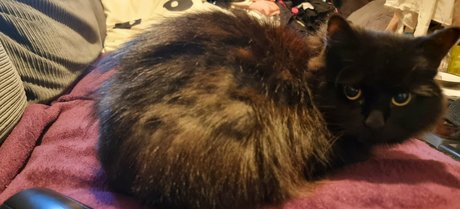 joebutnsfw OnlyFans Leaks Sex