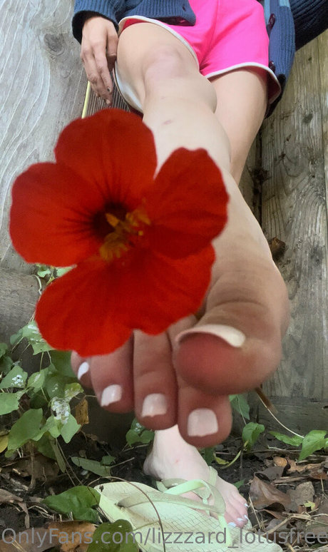 lizgizzardfree OnlyFans-Fotos