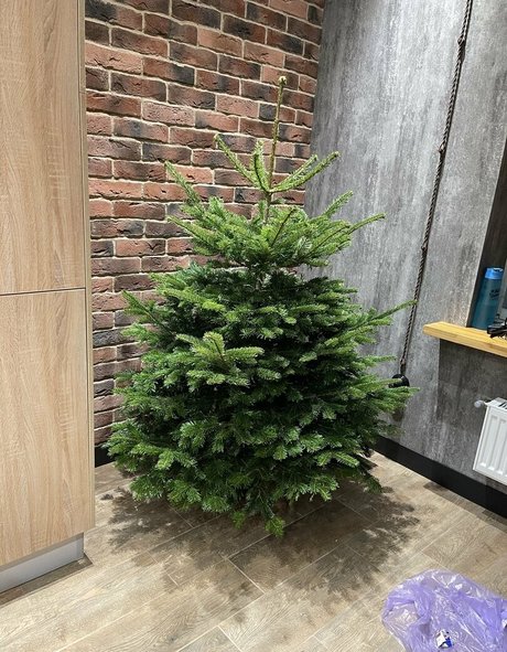 mirniy Nacktbilder von OnlyFans geleakt