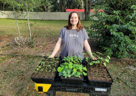 deealice OnlyFans XXX