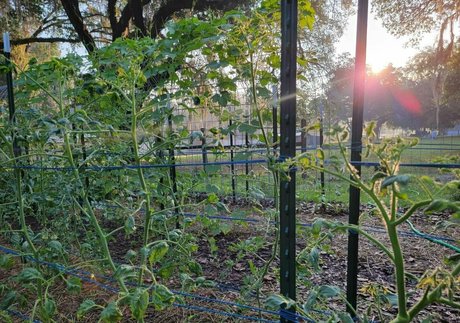 deealice OnlyFans OnlyFans