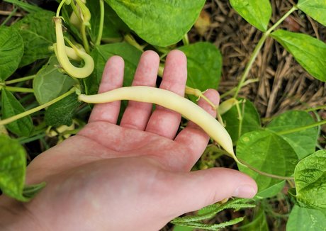 deealice Nacktbilder geleakt