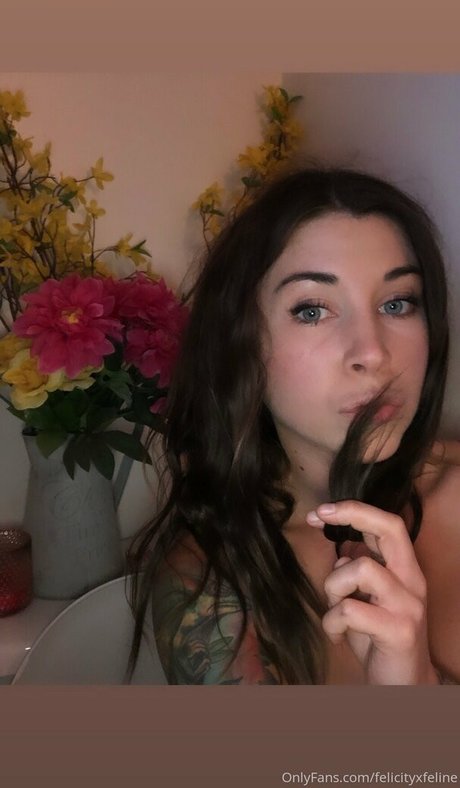 felicityfeline OnlyFans Sex geleakt