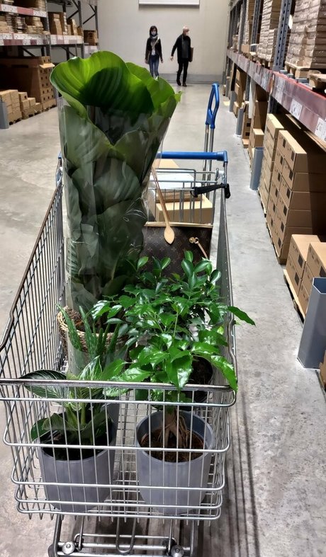 taylorburton Nacktbilder geleakt OnlyFans geleakt