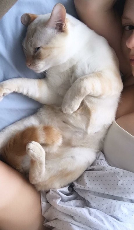 gbrllareis Nacktbilder OnlyFans