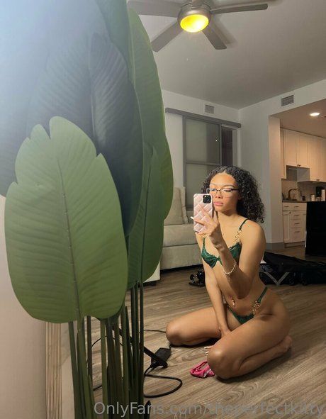 theperfectkitty Nacktbilder von OnlyFans geleakt