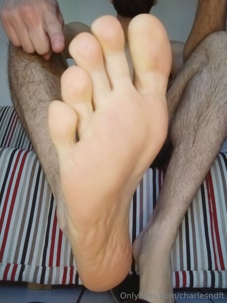 Charlesndft OnlyFans Star