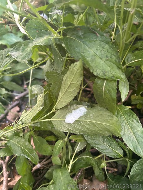 Joe061233321 OnlyFans-Post