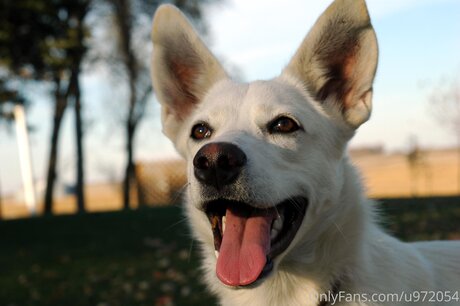 Loneranger2017 Nacktbilder von OnlyFans geleakt