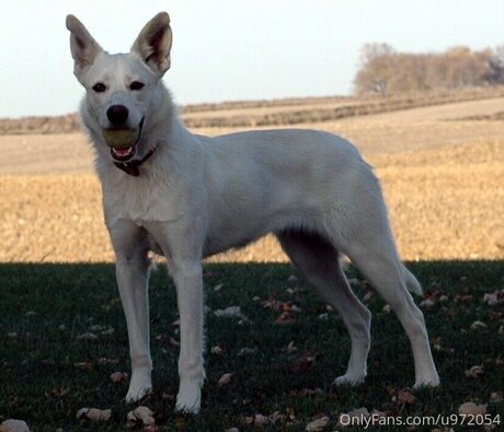 Loneranger2017 OnlyFans Nackt Content