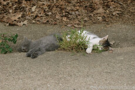 Loneranger2017 OnlyFans Leak