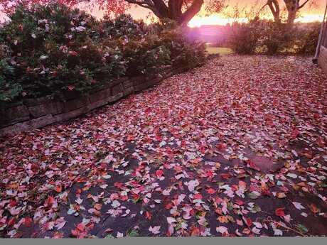 Loneranger2017 Nacktbilder von OnlyFans