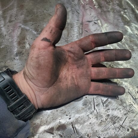 Bluecollarworker01 Nacktbilder von OnlyFans