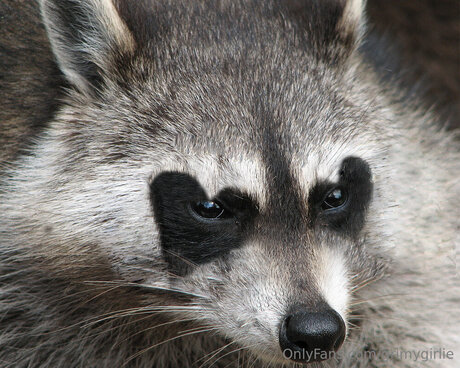 Grimygirlie OnlyFans Striptease