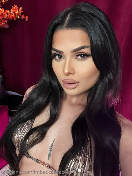 Imbeccabradley Nacktbilder OnlyFans