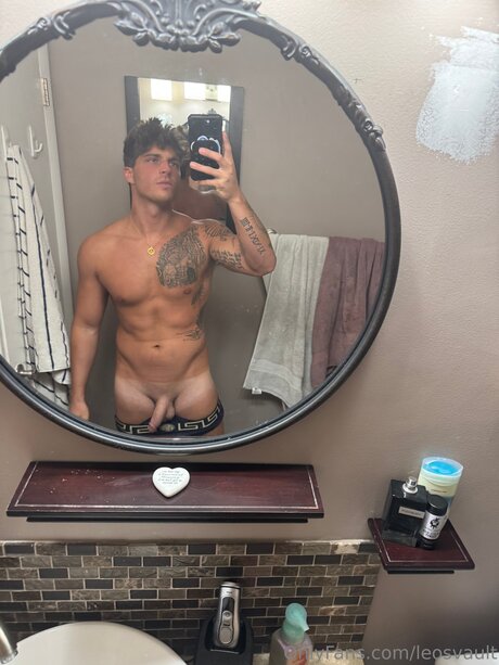 Leosvault OnlyFans Archiv